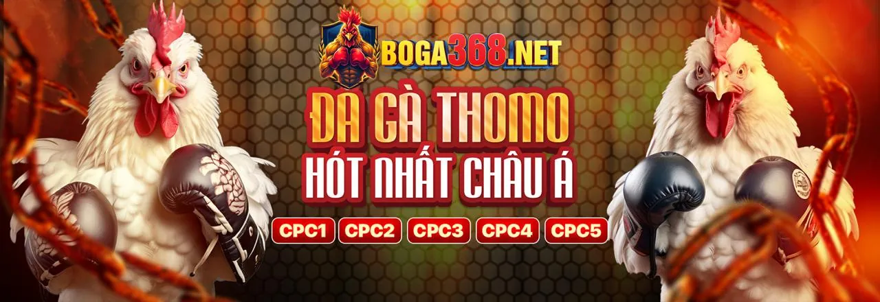 Hướng Dẫn Đăng Ký C168 Chi Tiết - Nền tảng cá cược trực tuyến C168 an toàn và hiện đại
